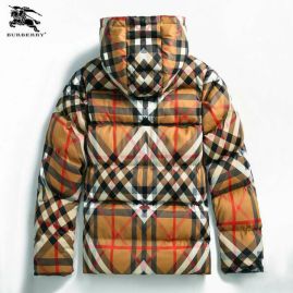 Picture of Burberry Down Jackets _SKUBurberryM-3XL66058593